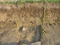 Cronica Cercetărilor Arheologice din România, Campania 2007. Raportul nr. 116