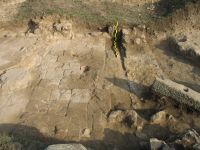 Cronica Cercetărilor Arheologice din România, Campania 2007. Raportul nr. 120