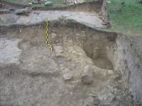 Cronica Cercetărilor Arheologice din România, Campania 2007. Raportul nr. 120