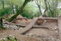 Cronica Cercetărilor Arheologice din România, Campania 2007. Raportul nr. 134