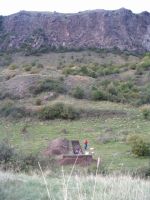 Cronica Cercetărilor Arheologice din România, Campania 2007. Raportul nr. 136