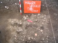 Cronica Cercetărilor Arheologice din România, Campania 2007. Raportul nr. 136