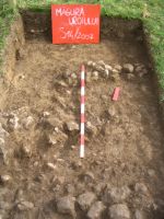 Cronica Cercetărilor Arheologice din România, Campania 2007. Raportul nr. 136