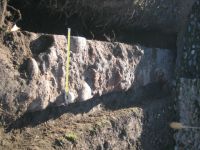 Cronica Cercetărilor Arheologice din România, Campania 2007. Raportul nr. 139