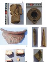Cronica Cercetărilor Arheologice din România, Campania 2007. Raportul nr. 142