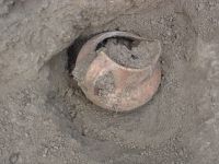 Cronica Cercetărilor Arheologice din România, Campania 2007. Raportul nr. 144