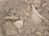 Cronica Cercetărilor Arheologice din România, Campania 2007. Raportul nr. 144