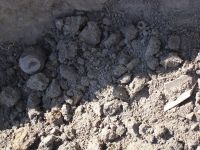 Cronica Cercetărilor Arheologice din România, Campania 2007. Raportul nr. 144
