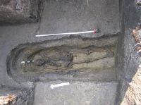 Cronica Cercetărilor Arheologice din România, Campania 2007. Raportul nr. 146
