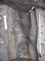 Cronica Cercetărilor Arheologice din România, Campania 2007. Raportul nr. 146