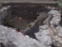 Cronica Cercetărilor Arheologice din România, Campania 2007. Raportul nr. 149
