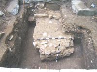 Cronica Cercetărilor Arheologice din România, Campania 2007. Raportul nr. 158