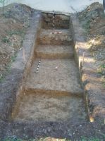Cronica Cercetărilor Arheologice din România, Campania 2007. Raportul nr. 158