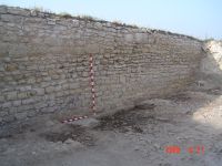 Cronica Cercetărilor Arheologice din România, Campania 2007. Raportul nr. 161