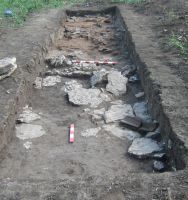 Cronica Cercetărilor Arheologice din România, Campania 2007. Raportul nr. 161