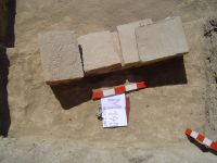 Cronica Cercetărilor Arheologice din România, Campania 2007. Raportul nr. 161