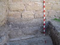 Cronica Cercetărilor Arheologice din România, Campania 2007. Raportul nr. 161
