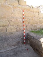 Cronica Cercetărilor Arheologice din România, Campania 2007. Raportul nr. 161
