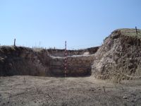 Cronica Cercetărilor Arheologice din România, Campania 2007. Raportul nr. 161