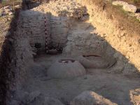 Cronica Cercetărilor Arheologice din România, Campania 2007. Raportul nr. 161
