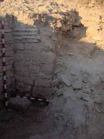 Cronica Cercetărilor Arheologice din România, Campania 2007. Raportul nr. 161