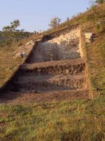 Cronica Cercetărilor Arheologice din România, Campania 2007. Raportul nr. 161
