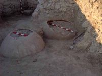 Cronica Cercetărilor Arheologice din România, Campania 2007. Raportul nr. 161