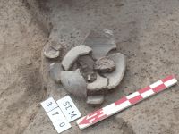 Cronica Cercetărilor Arheologice din România, Campania 2007. Raportul nr. 164