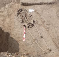 Cronica Cercetărilor Arheologice din România, Campania 2007. Raportul nr. 164