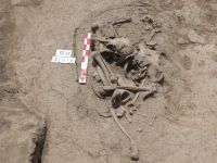 Cronica Cercetărilor Arheologice din România, Campania 2007. Raportul nr. 164