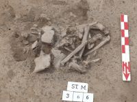 Cronica Cercetărilor Arheologice din România, Campania 2007. Raportul nr. 164