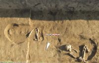 Cronica Cercetărilor Arheologice din România, Campania 2007. Raportul nr. 169
