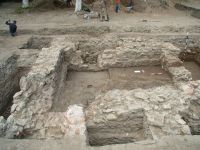 Cronica Cercetărilor Arheologice din România, Campania 2007. Raportul nr. 172