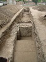 Cronica Cercetărilor Arheologice din România, Campania 2007. Raportul nr. 172