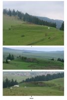 Cronica Cercetărilor Arheologice din România, Campania 2007. Raportul nr. 174