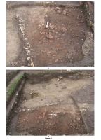 Cronica Cercetărilor Arheologice din România, Campania 2007. Raportul nr. 174