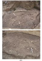 Cronica Cercetărilor Arheologice din România, Campania 2007. Raportul nr. 174