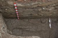 Cronica Cercetărilor Arheologice din România, Campania 2007. Raportul nr. 177