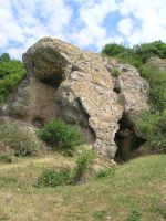 Cronica Cercetărilor Arheologice din România, Campania 2007. Raportul nr. 183