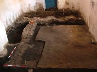 Cronica Cercetărilor Arheologice din România, Campania 2007. Raportul nr. 185