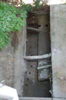 Cronica Cercetărilor Arheologice din România, Campania 2007. Raportul nr. 187