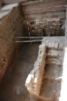 Cronica Cercetărilor Arheologice din România, Campania 2007. Raportul nr. 187