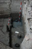 Cronica Cercetărilor Arheologice din România, Campania 2007. Raportul nr. 187