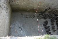 Cronica Cercetărilor Arheologice din România, Campania 2007. Raportul nr. 187
