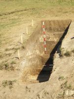 Cronica Cercetărilor Arheologice din România, Campania 2007. Raportul nr. 190