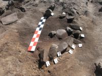 Cronica Cercetărilor Arheologice din România, Campania 2007. Raportul nr. 192