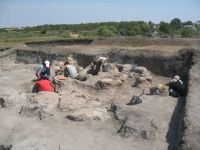 Cronica Cercetărilor Arheologice din România, Campania 2007. Raportul nr. 192
