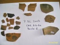Cronica Cercetărilor Arheologice din România, Campania 2007. Raportul nr. 193