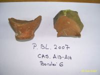 Cronica Cercetărilor Arheologice din România, Campania 2007. Raportul nr. 193