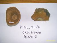 Cronica Cercetărilor Arheologice din România, Campania 2007. Raportul nr. 193